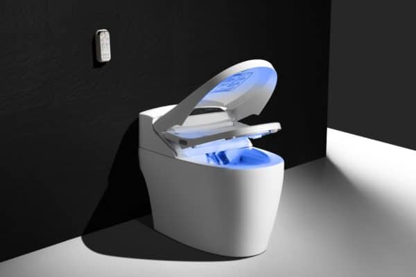 ▷ WC Japonais lavant- Artisan spécialiste du toilette japonais